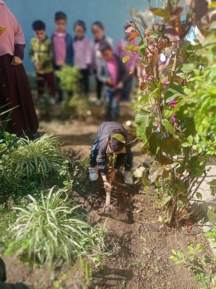 طفل  يحفر لزراعة شجرة