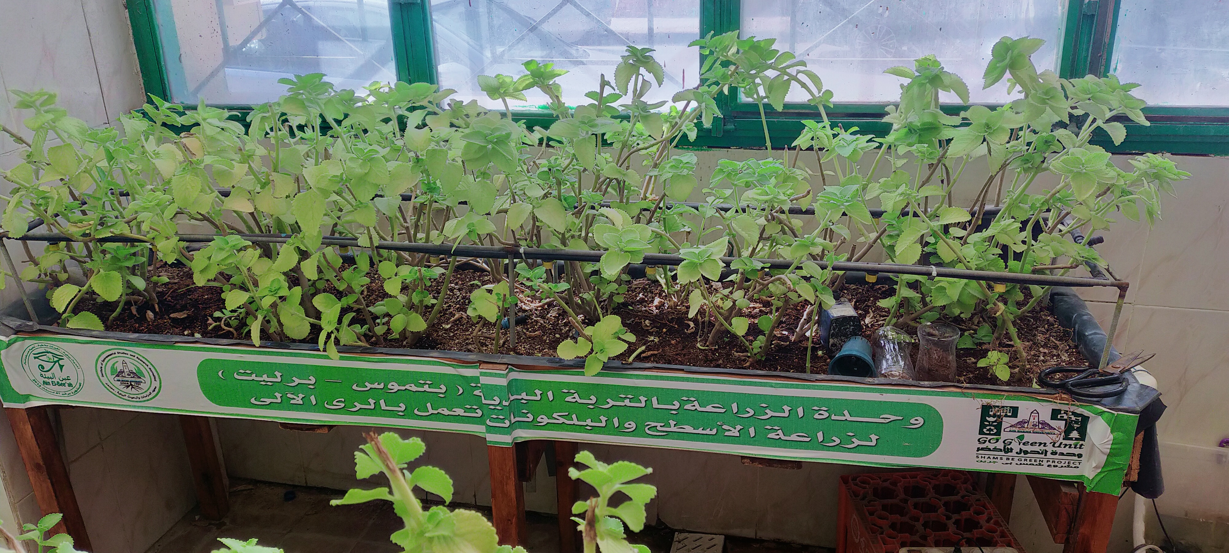 وحدة الزراعة وحدة الزراعة