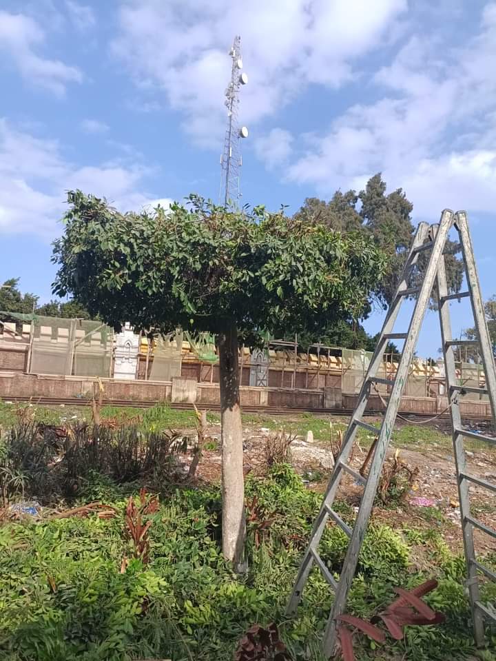 تطوير محور المعمورة بالمنتزة