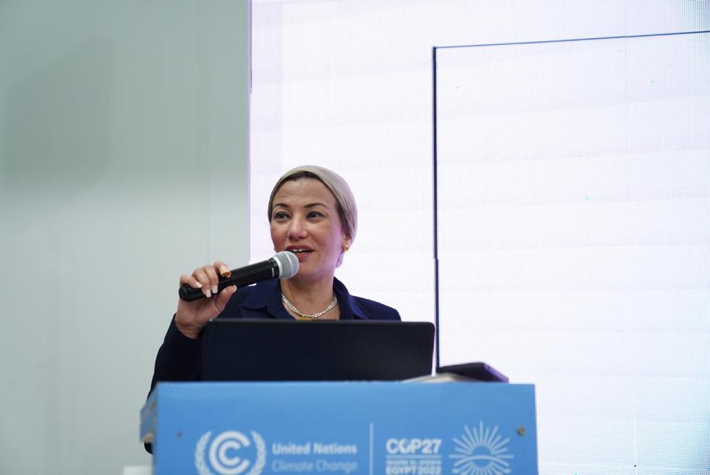 جلسة حول التقييم العالمي في COP27 (3)