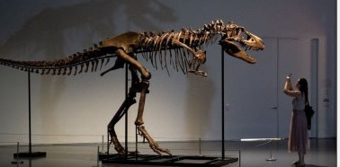 هيكل ديناصور نادر بـ6 مليون جنيه إسترلينى