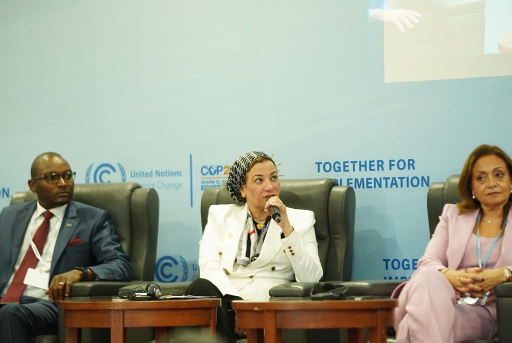 وزيرة البيئة تطالب بتوفير مسارات مستدامة منخفضة الكربون (4)