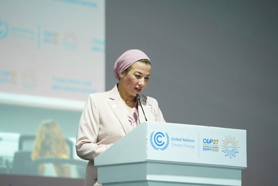 الدكتورة ياسمين فؤاد وزيرة البيئة  (7)