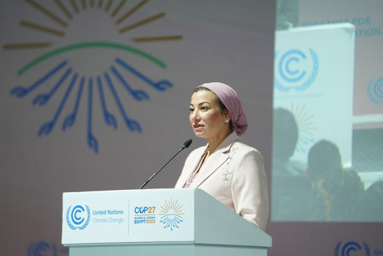 الدكتورة ياسمين فؤاد وزيرة البيئة  (13)