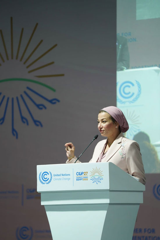الدكتورة ياسمين فؤاد وزيرة البيئة  (16)