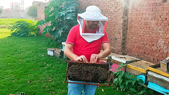 جانب-من-حديقة-النحل-بالمنوفية-(2)
