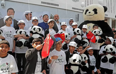 الباندا الصينية فى قطر (4)