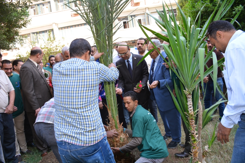 رئيس جامعة أسيوط يشارك في غرس الأشجار بمعهد جنوب مصر للأورام ضمن فعاليات مبادرة إتحضر للأخضر (3)
