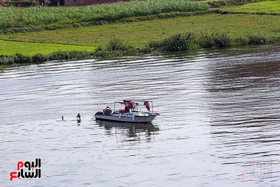 حركة الصيد بنهر النيل (2)