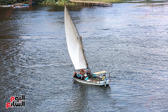 سير المراكب بنهر النيل (2)