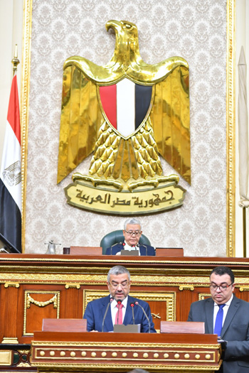 مجلس النواب الجلسة العامة (2)