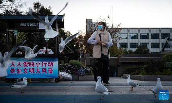 الطيور المهاجرة فى الصين (5)