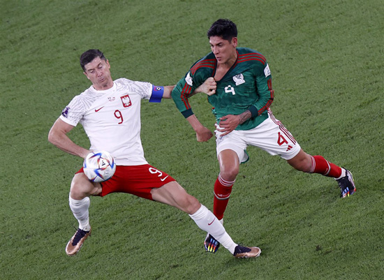 مباراة المكسيك وبولندا كاس العالم 2022 (17)