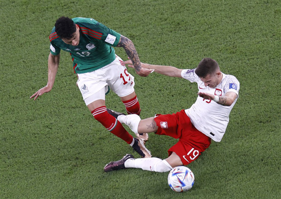 مباراة المكسيك وبولندا كاس العالم 2022 (8)