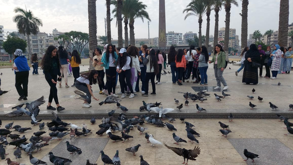 توافد الرحلات على ميدان المسلة للإستمتاع بمشاهدة حمام السلام توافد الرحلات على ميدان المسلة للإستمتاع بمشاهدة حمام السلام