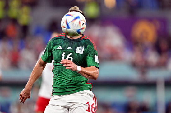 مباراة المكسيك وبولندا كاس العالم 2022 (3)