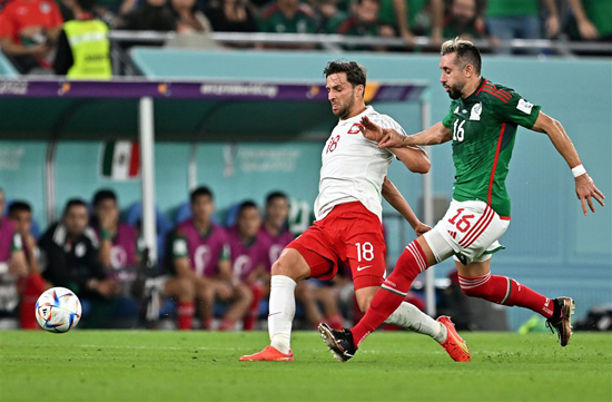 مباراة المكسيك وبولندا كاس العالم 2022 (7)