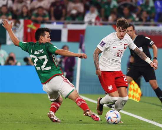 مباراة المكسيك وبولندا كاس العالم 2022 (15)
