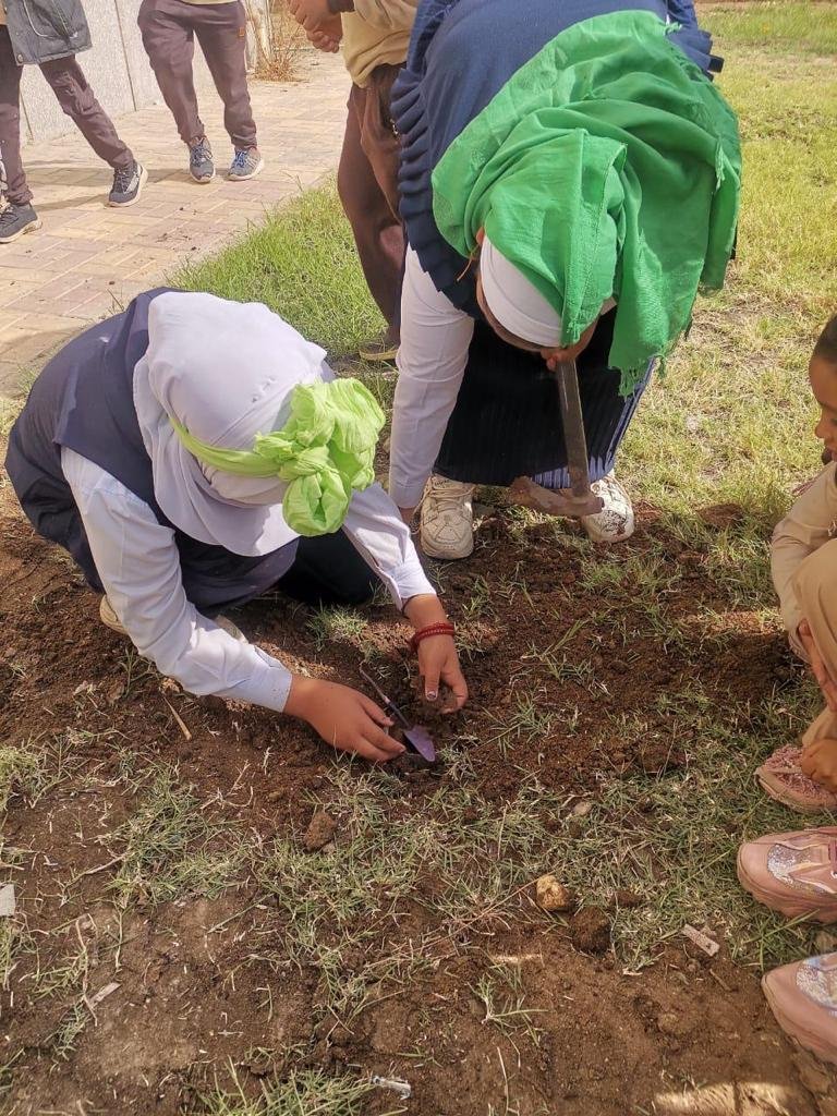 تنفيذ مبادرة ازرع شجرة فى المدارس (4)