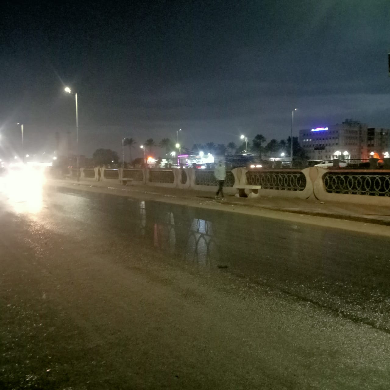 هطول أمطار متوسطة على كفر الشيخ (2)