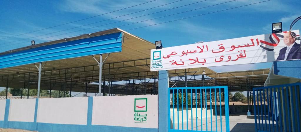 مشروعات التنمية المحلية بنصر النوبة (2)