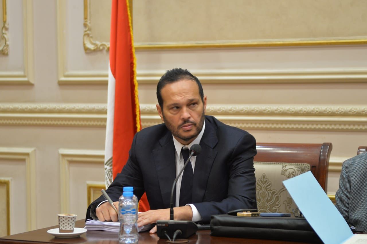 محمد حلاوة رئيس لجنة الصناعة والتجارة بمجلس الشيوخ (2)