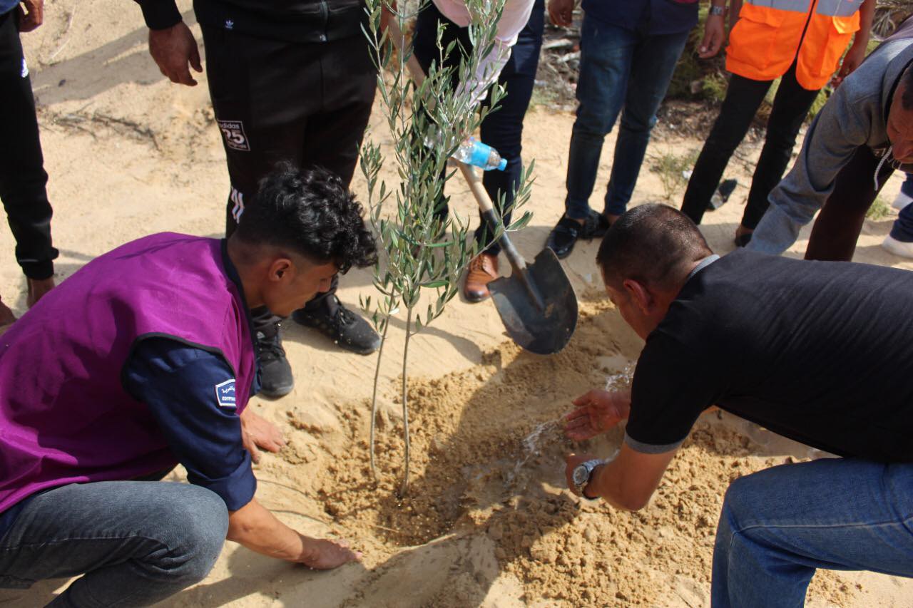 زراعة الاشجار