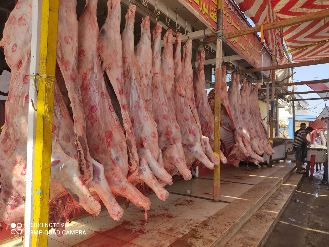 جانب من منافذ توزيع اللحوم  من محطة التسمين ببورسعيد