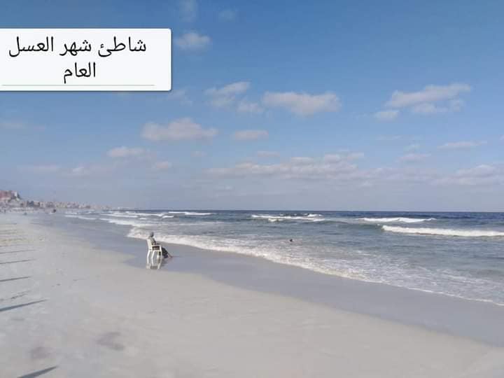 شواطئ العجمى