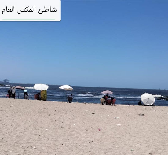 شواطئ-الاسكندرية-فى-الخريف