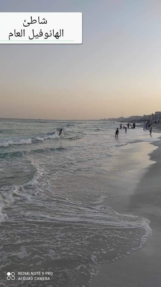 شواطئ العجمى فى الخريف