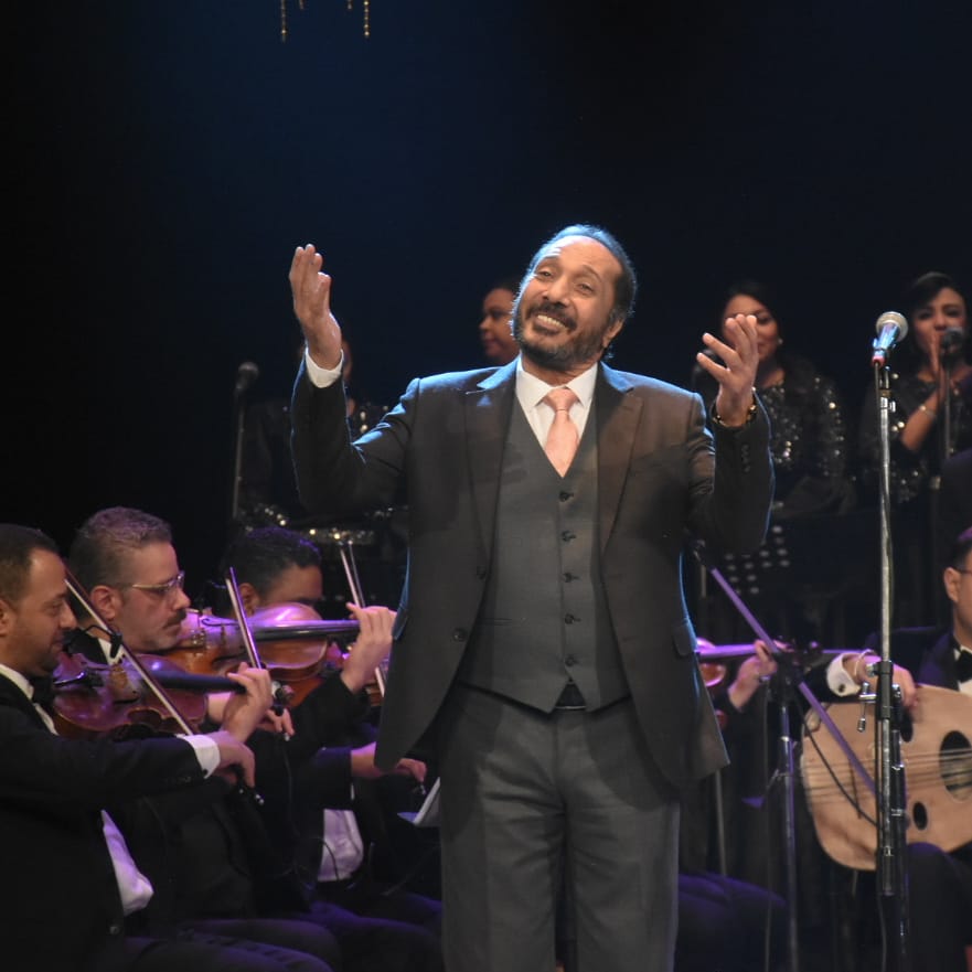 الفنان على الحجار