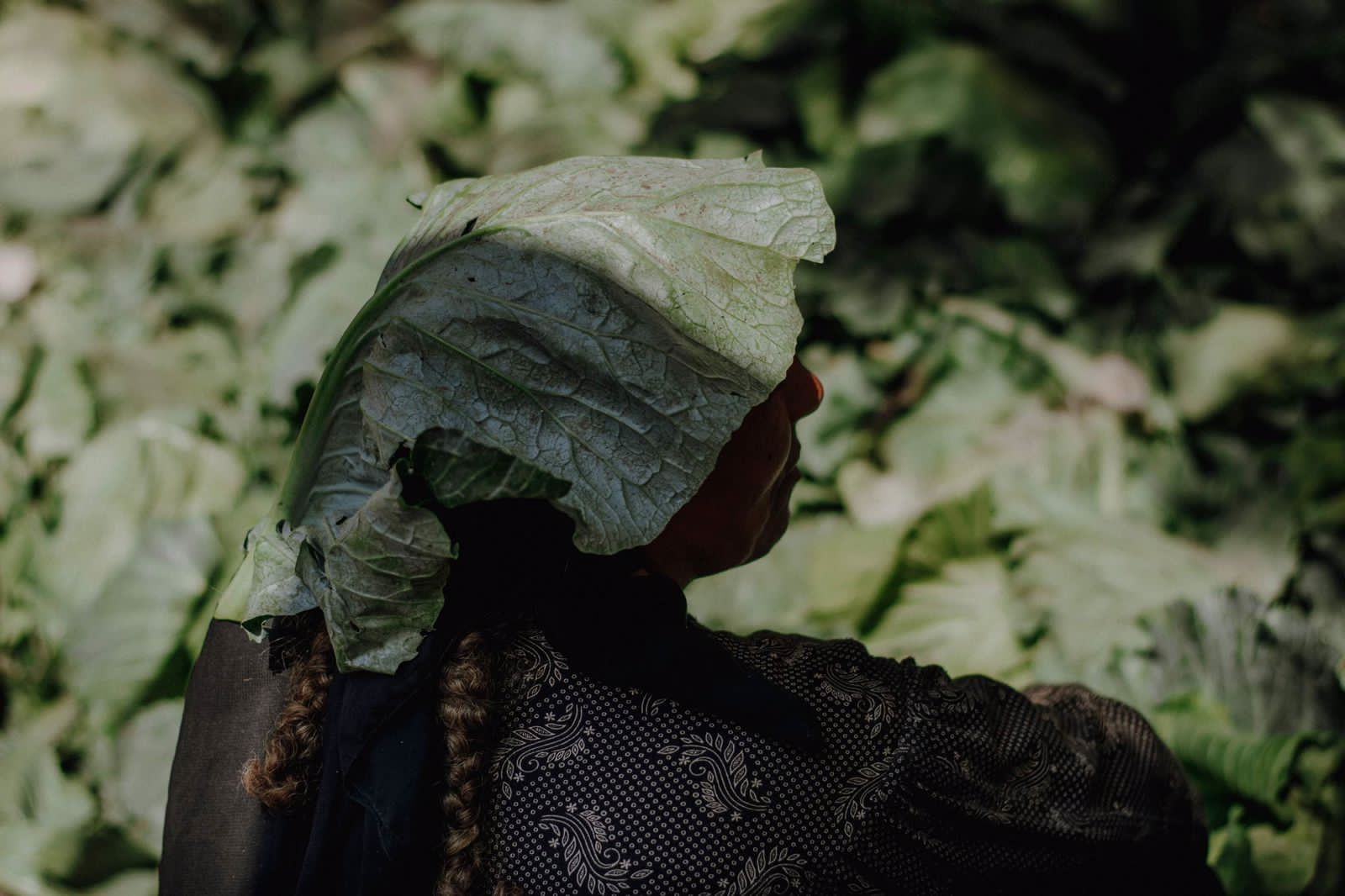 طالب شرقاوى يوثق حياة أهالى الريف بقرى مصر (9)