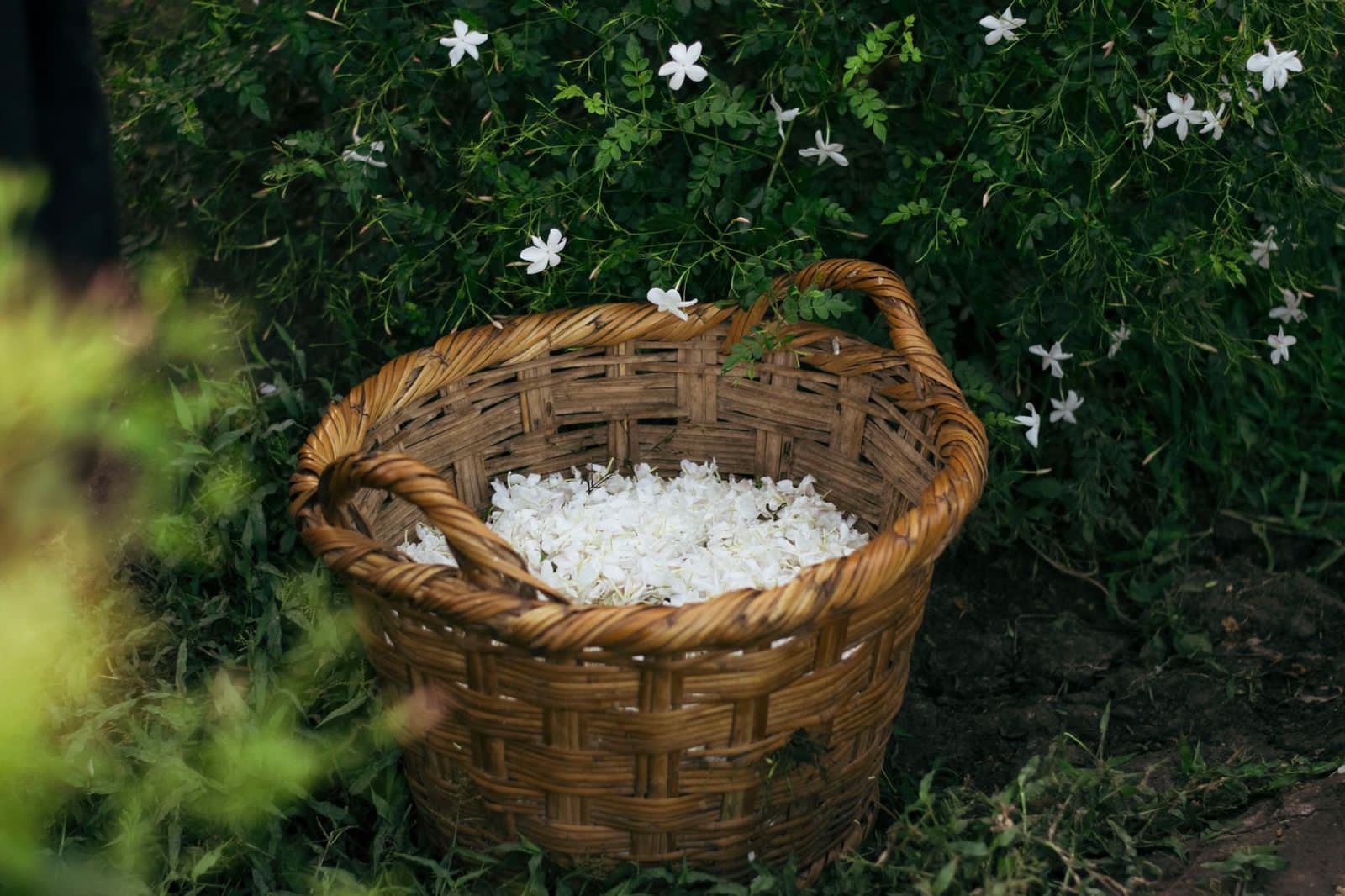 طالب شرقاوى يوثق حياة أهالى الريف بقرى مصر (11)