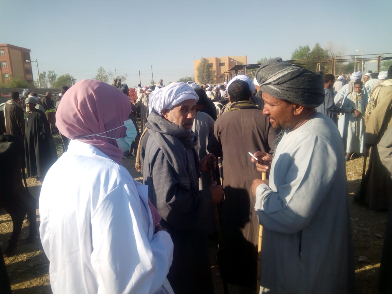 توعية مربي المواشي خلال حملات التحصين بسوق أرمنت توعية مربي المواشي خلال حملات التحصين بسوق أرمنت