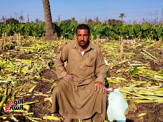 محمد-إبراهيم-تاجر-خضار-مقيم-بقرية-المنير