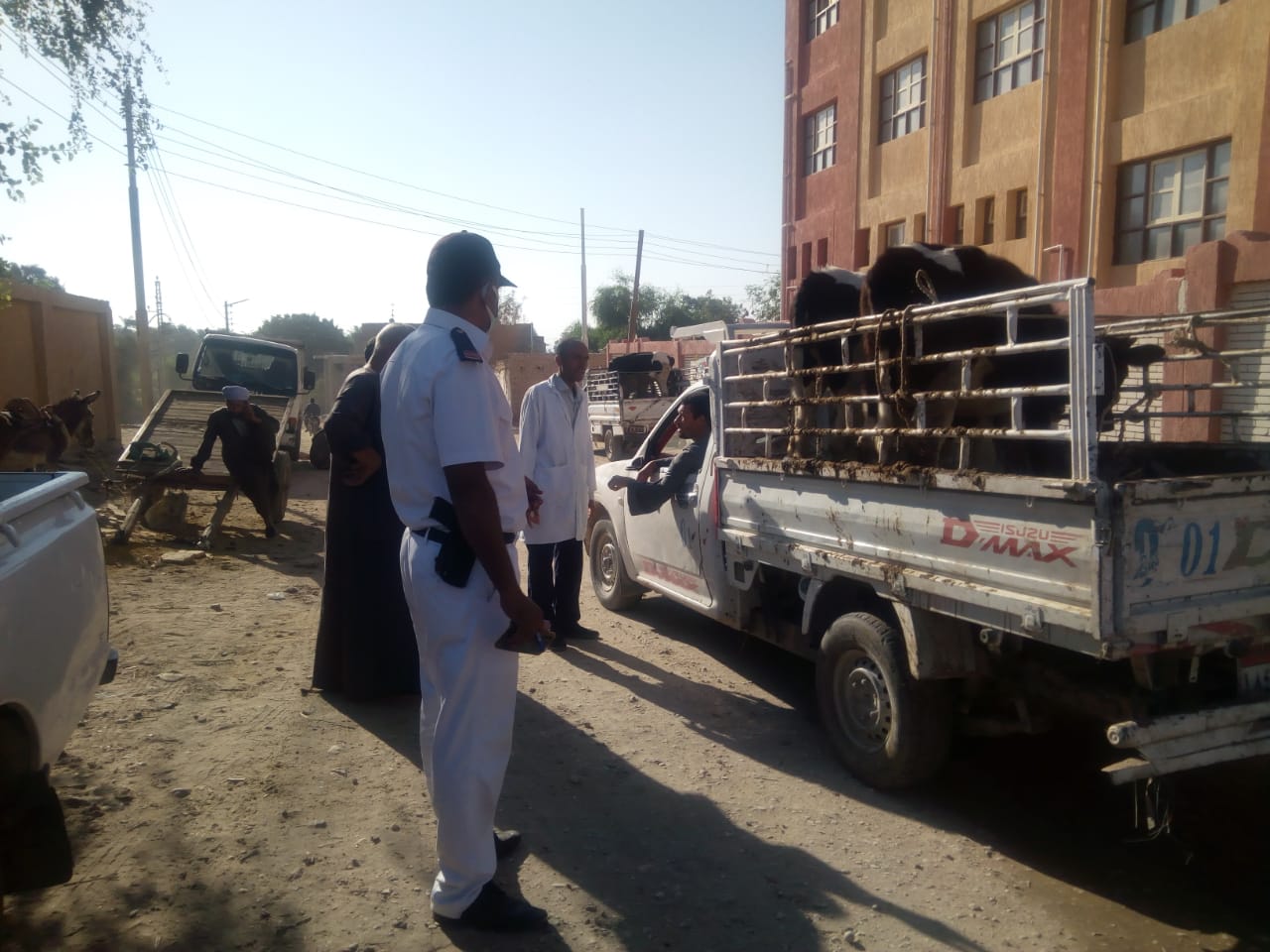 الطب البيطرى بالأقصر تحصن الماشية فى سوق أرمنت الطب البيطرى بالأقصر تحصن الماشية فى سوق أرمنت