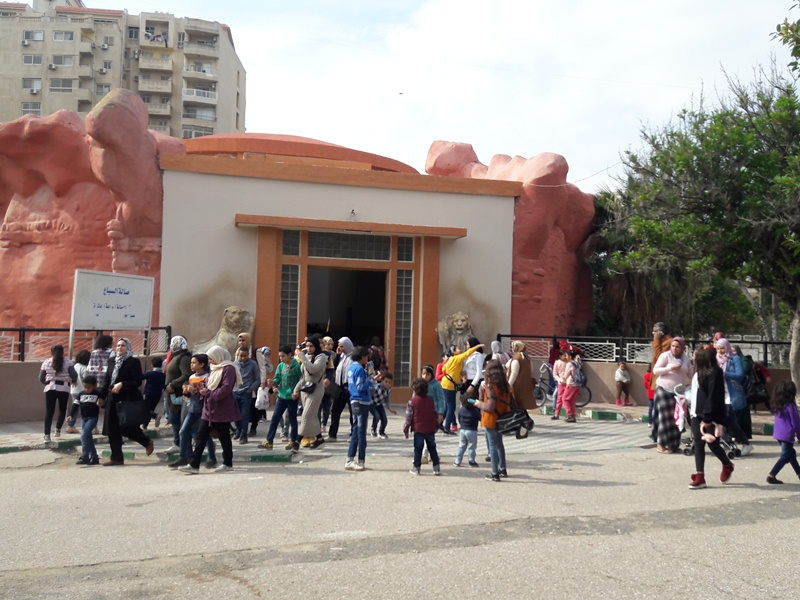 متعة التنزة فى حديقة الحيوان فى الشتاء (4)