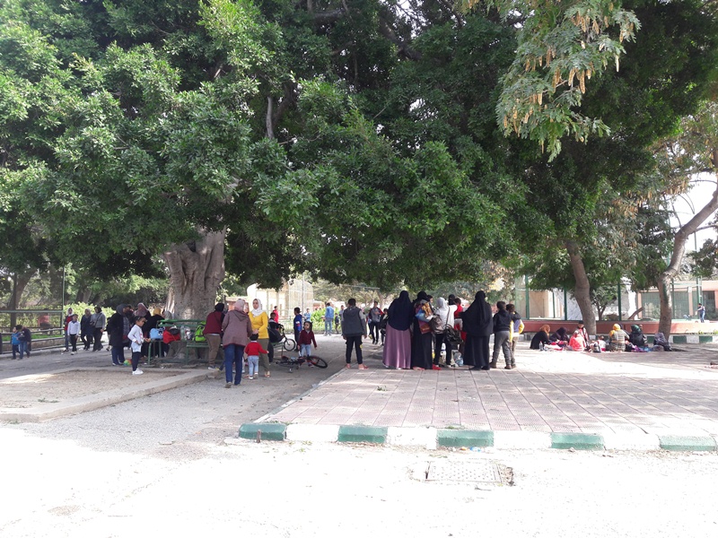 متعة التنزة فى حديقة الحيوان فى الشتاء (5)