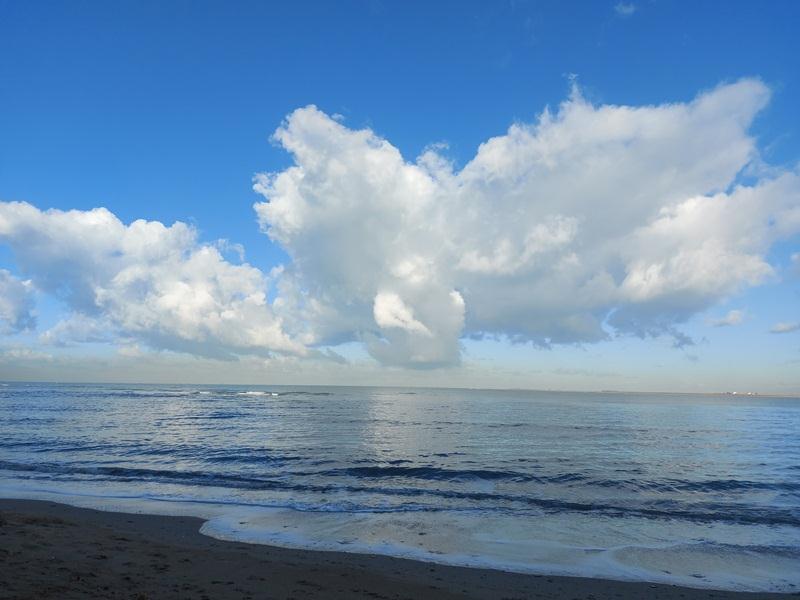 ريشة الطبيعة ترسم لوحات فنية بشتاء الاسكندرية ريشة الطبيعة ترسم لوحات فنية بشتاء الاسكندرية