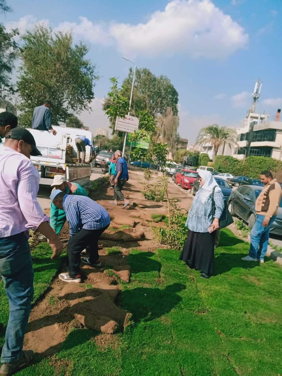 نظافة القاهرة تزرع الجزر الوسطى