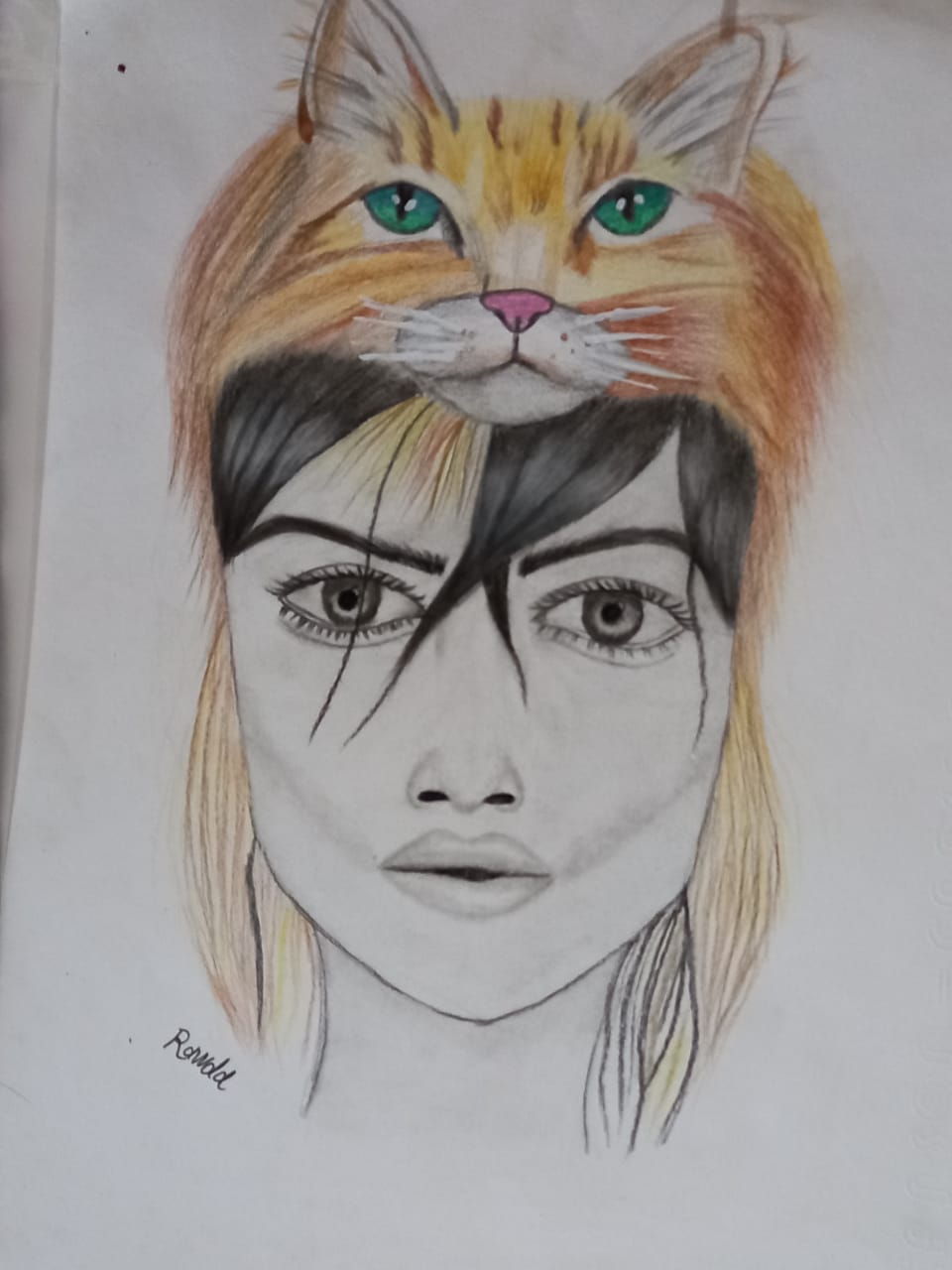 رسمه تعبر عن وجه الشبه بين القطة وفتاة جميلة