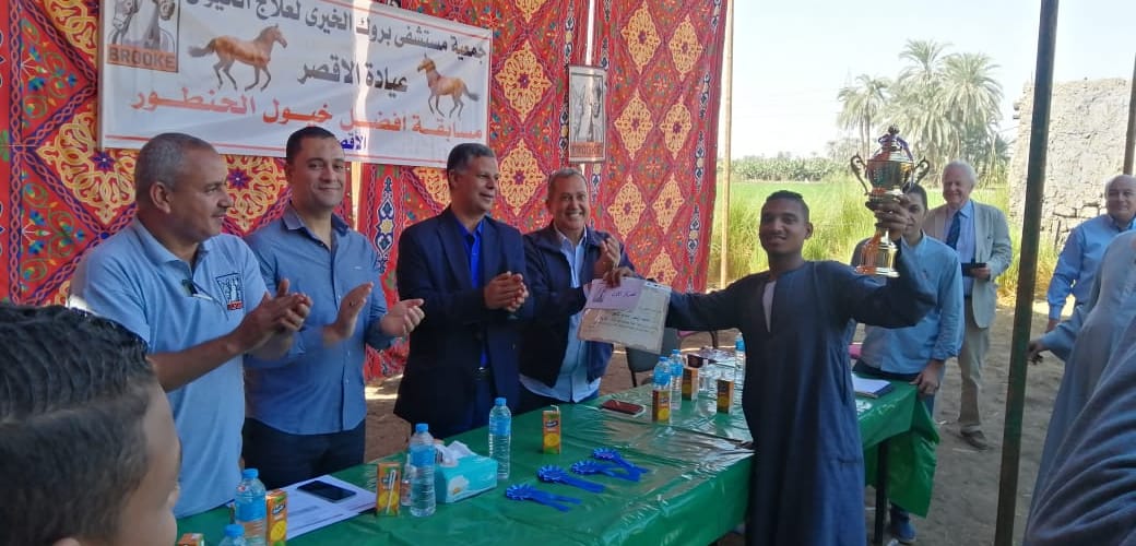 حفل إختيار أجمل حصان وعربة حنطور بالأقصر