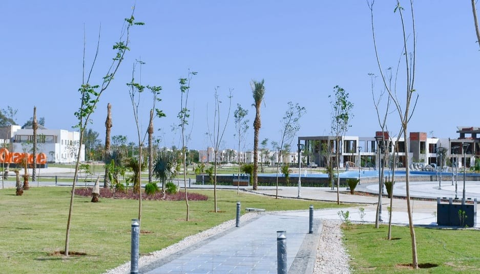 اللمسات الاخيرة بالحديقة المركزية (1)