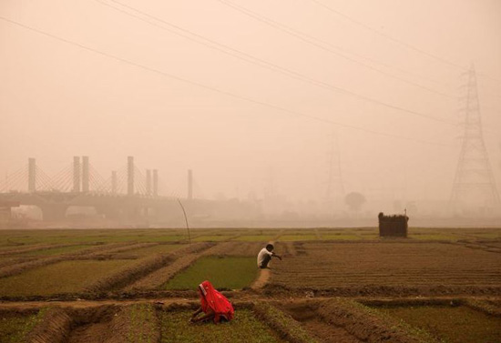 مزارعون يعملون وسط الضباب الدخاني في حقل على ضفة نهر يامونا في نيودلهي