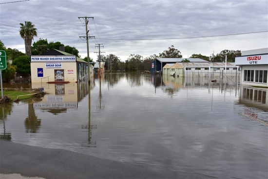 فيضانات-في-نيو-ساوث-ويلز-،-أسترالي