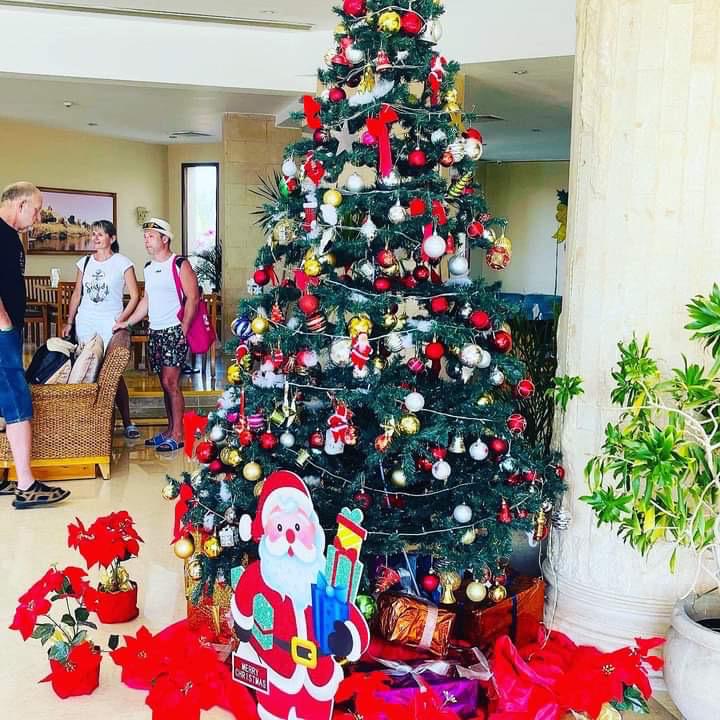 أشجار الميلاد داخل الفنادق 