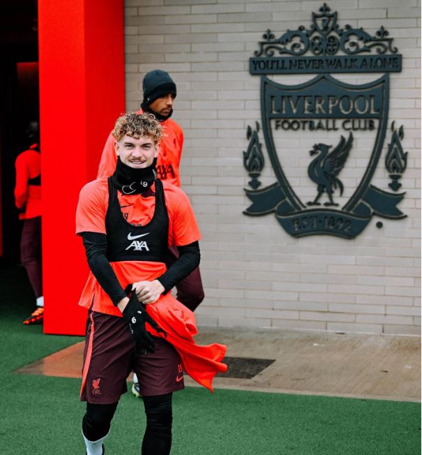 تدريبات الريدز