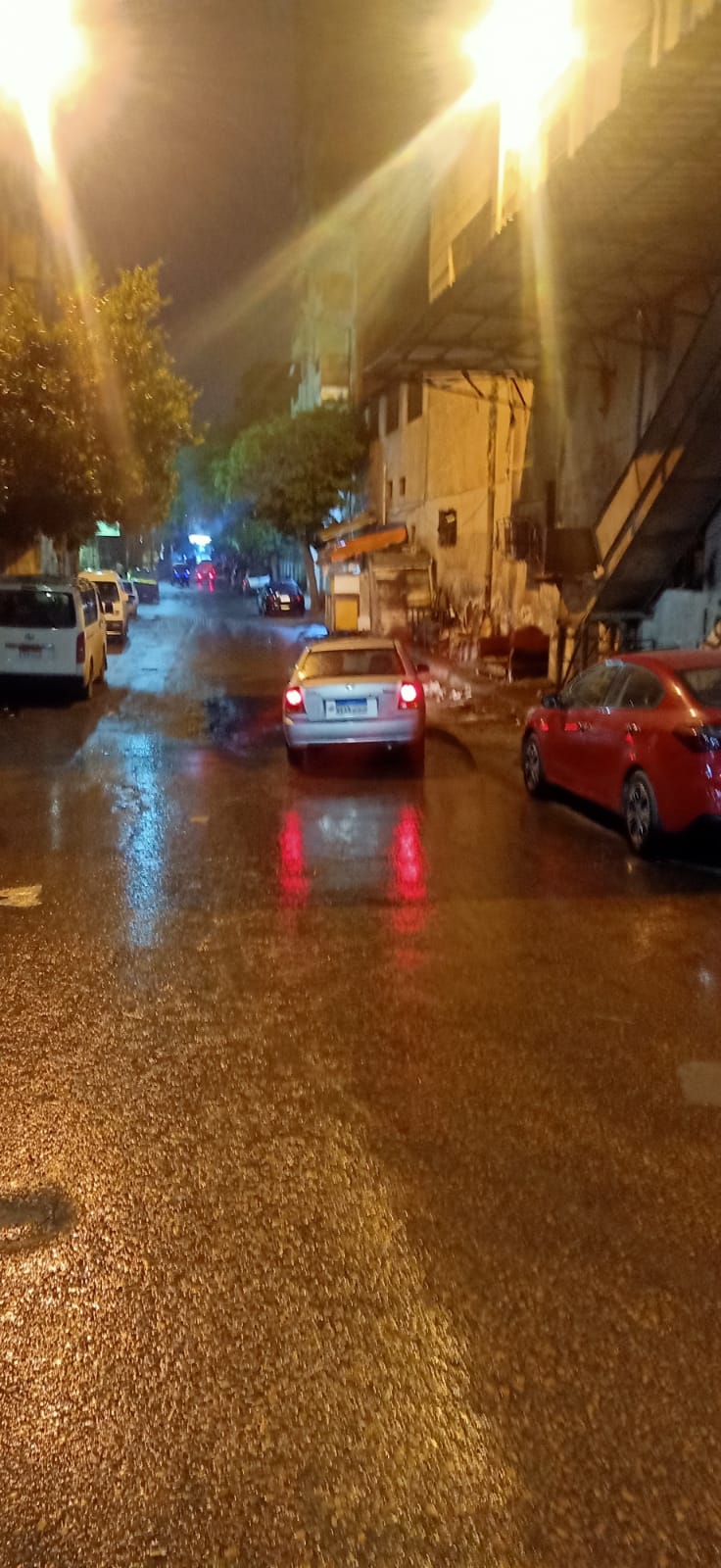 جانب من حالة الطقس وسقوط الأمطار في الإسكندرية (10)