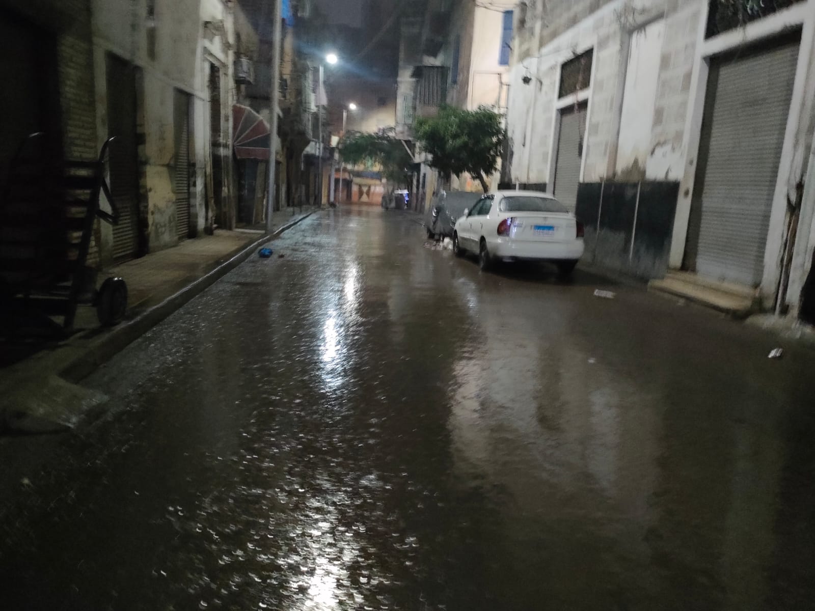جانب من حالة الطقس وسقوط الأمطار في الإسكندرية (3)